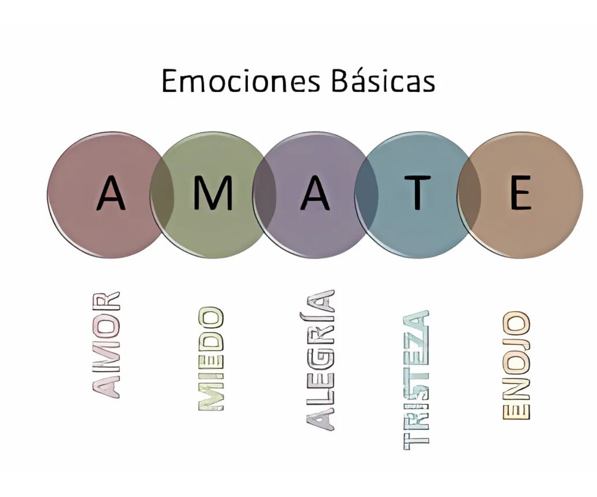 Ediciones